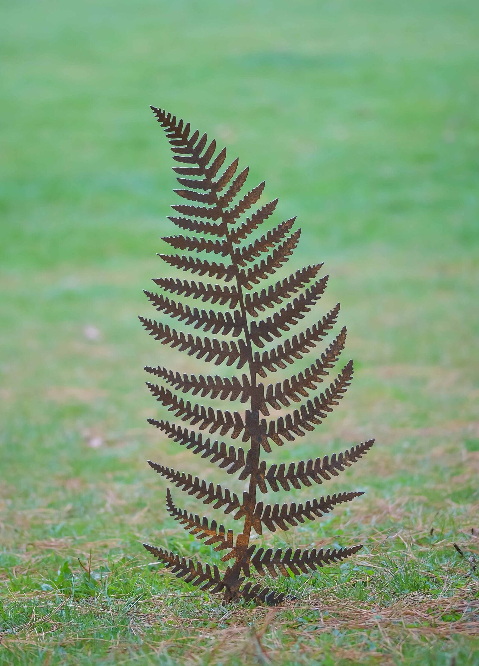 Megaphylls Fern Leaf Sculpture - Etsy UK