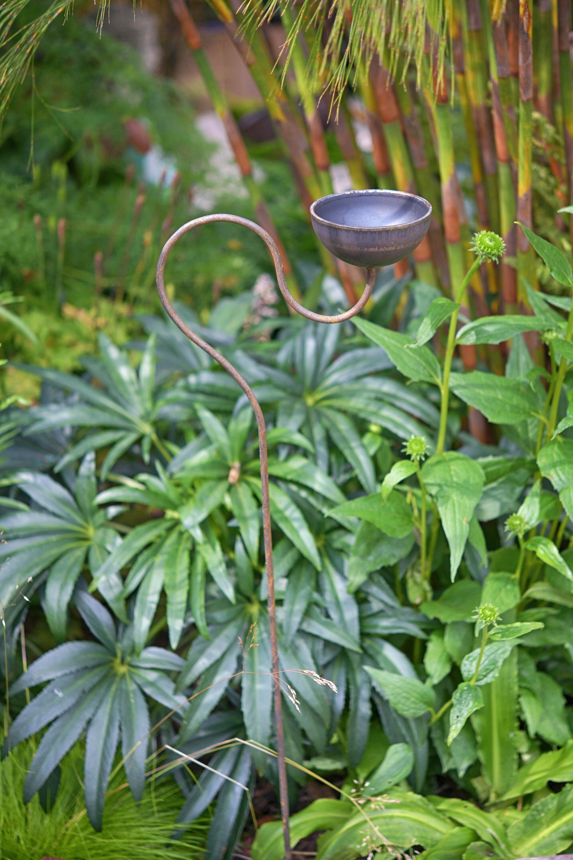 Curvy Rain Catcher