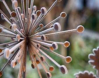 Starburst Allium Garden Sculpture Art