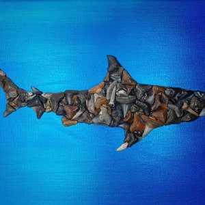 Make Yer Own Shark Art Kit Reef Shark - 8X10&quot;