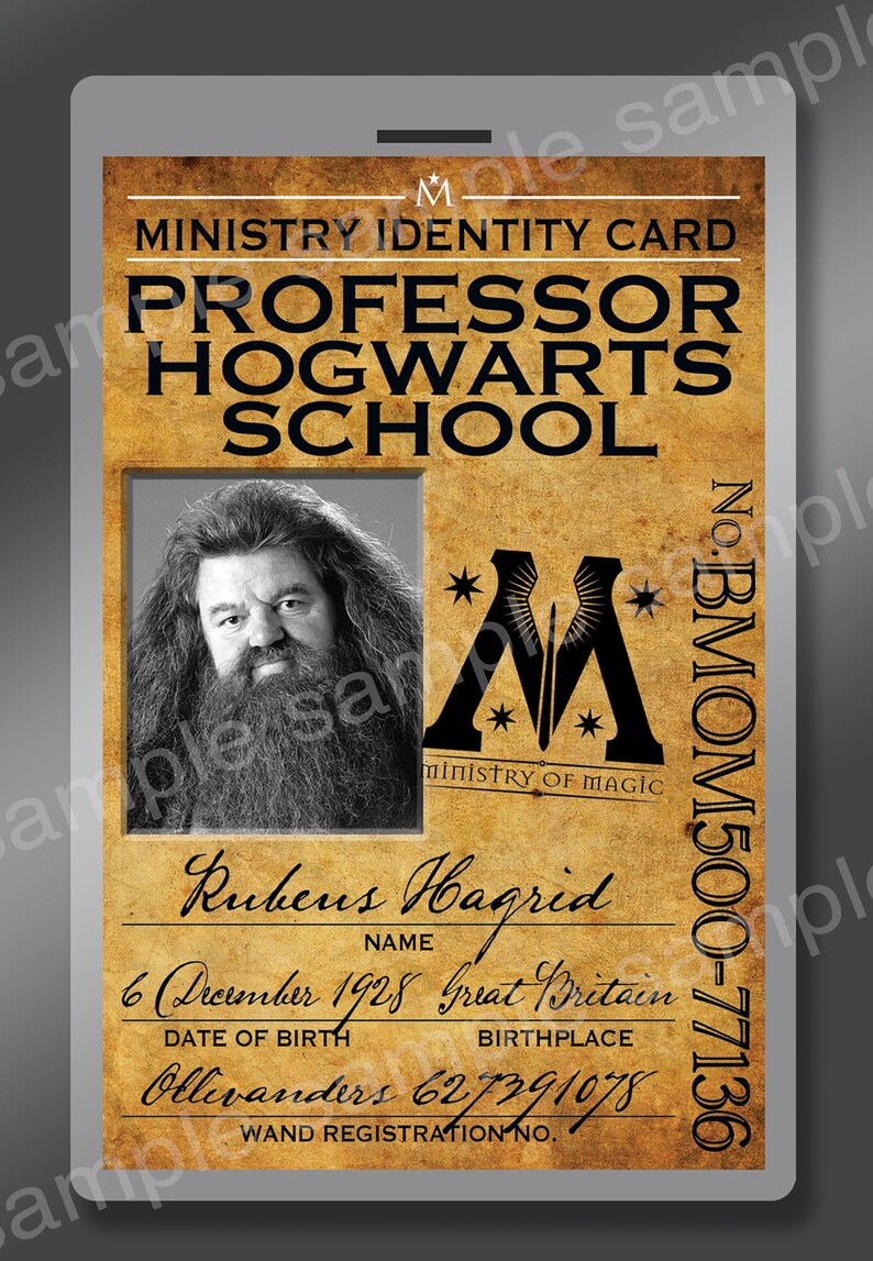 New Harry Potter Ministry of Magic ID Badge for Rubeus Hagrid | Etsy