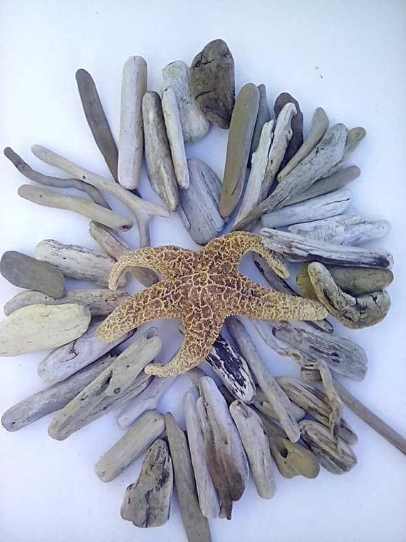 Items similar to Driftwood Collection on Etsy