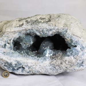 May include: A large, gray, geode with a cavity filled with blue celestite crystals. The geode is about the size of a small football.