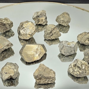 Könnte beinhalten: Eine Sammlung von 12 rohen, natürlichen Pyritkristallen. Die Kristalle sind in verschiedenen Gold- und Brauntönen gehalten und haben einen metallischen Glanz. Sie werden auf einer reflektierenden Oberfläche präsentiert.