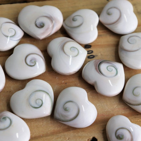 Shiva shell crystal heart x1