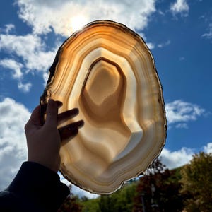May include: A translucent, oval-shaped agate slice featuring concentric bands of light brown, cream, and white. The stone is backlit, revealing its natural mineral layers and internal patterns through the semi-transparent, polished surface.