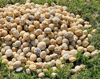 Unbroken quartz crystal geodes