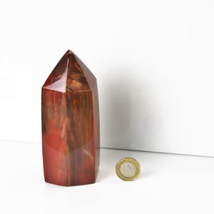 2) Fossiles Holzprisma - Versteinertes Holz - Madagaskar