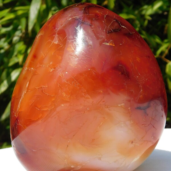 8) Large Carnelian Free form Polished Freestanding Great Gift Home Art Décor Madagascar