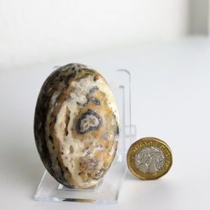 May include: A smooth, round, white, brown, and black agate stone with a swirling pattern. The stone is about the size of a UK one pound coin.