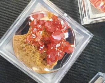 Vanadinite crystal specimen in display case x1