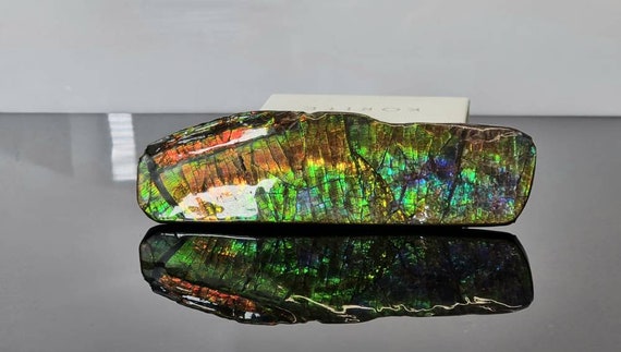 Ammolite etsy sale