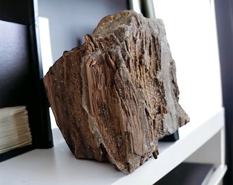 15) Fossil Wood Quartz Crystal Druze Rare Petrified Wood Germany Permineralized - Unique Home Decor