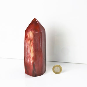 9) Fossiles Holz Prisma - Versteinertes Holz - Madagaskar