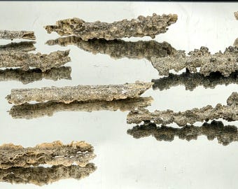 Large Fulgurite Specimen -  Petrified Lightning Stone from Algeria Desert
