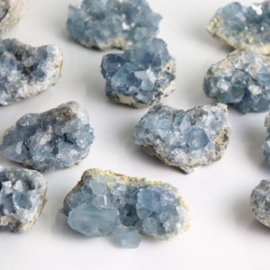 May include: A collection of 11 blue celestite crystal clusters. The clusters are various sizes and shapes, with some having a more rounded form and others being more angular. The crystals are a light blue color and have a translucent appearance.