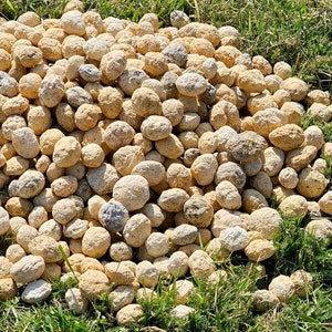 Unbroken quartz crystal geodes