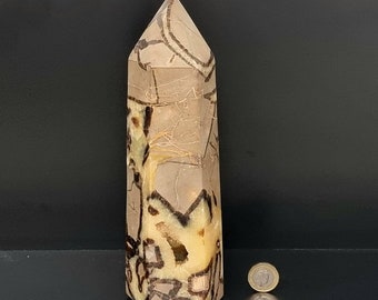 Könnte beinhalten: Eine große, braune und weiße, natürliche Stein-Kristallspitze mit einer spitzen Spitze. Der Kristall hat ein einzigartiges, wirbelndes Muster.