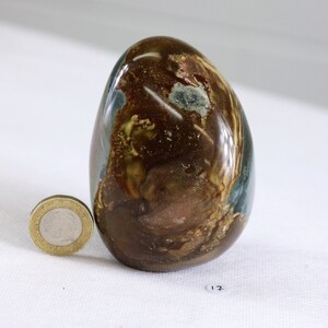 17) Polychrome Jasper Crystal Freestanding Great Gift Home Natural Art Décor