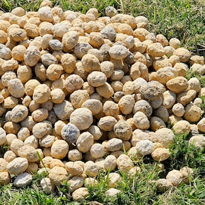 Unbroken quartz crystal geodes