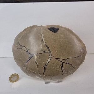 8) Septarian Crystal Display Plate