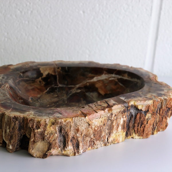 Large Fossil Wood Bowl CarvingUnique Home Office Décor