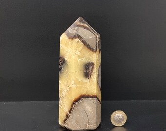 Könnte beinhalten: Eine braune und gelbe Septarien-Kristallspitze, auch bekannt als Dracheneier, wird auf einer schwarzen Oberfläche gezeigt. Der Kristall ist etwa 15 cm hoch und hat ein einzigartiges, wirbelndes Muster.