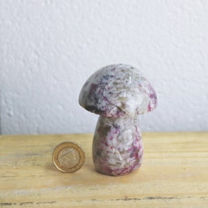 6) Rubellite Quarz Kristall Pilz Schnitzerei