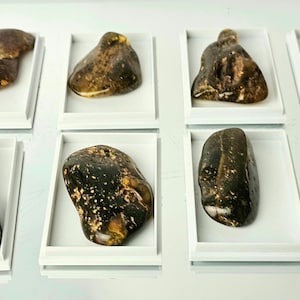 Large Amber crystal in display case
