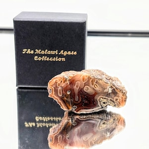 May include: A close-up of a brown and white agate stone with a swirling pattern. The stone is sitting on a black box with the text "The Malawi Agate Collection" in gold lettering.