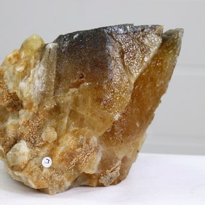 3) Extra Large Dog Tooth Calcite Crystal Mineral From Morocco 2.45 KG