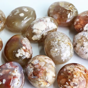 May include: A collection of smooth, polished agate stones with a variety of brown, white, and red patterns. The stones are oval-shaped and have a natural, earthy look.