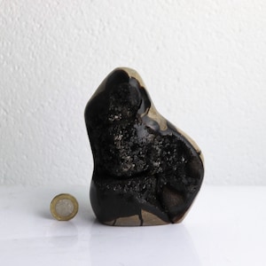 10) Black Septarian  Calcite Crystal