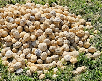 Unbroken quartz crystal geodes