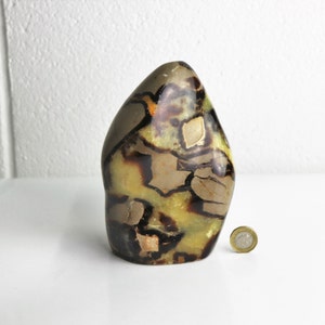 31) Large Septarian Yellow Calcite Crystal