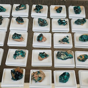 Puede incluir: Una colección de especímenes minerales verdes expuestos en pequeñas cajas blancas. Los especímenes son de varios tamaños y formas, algunos tienen una textura rugosa.