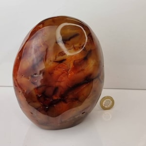 24) Extra large Carnelian Crystal Freeform