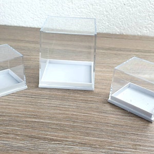 Acrylic Rock Collection Display Case Box for Kids Collectibles Crystal  Holder US