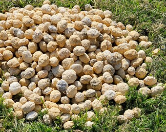 Unbroken quartz crystal geodes