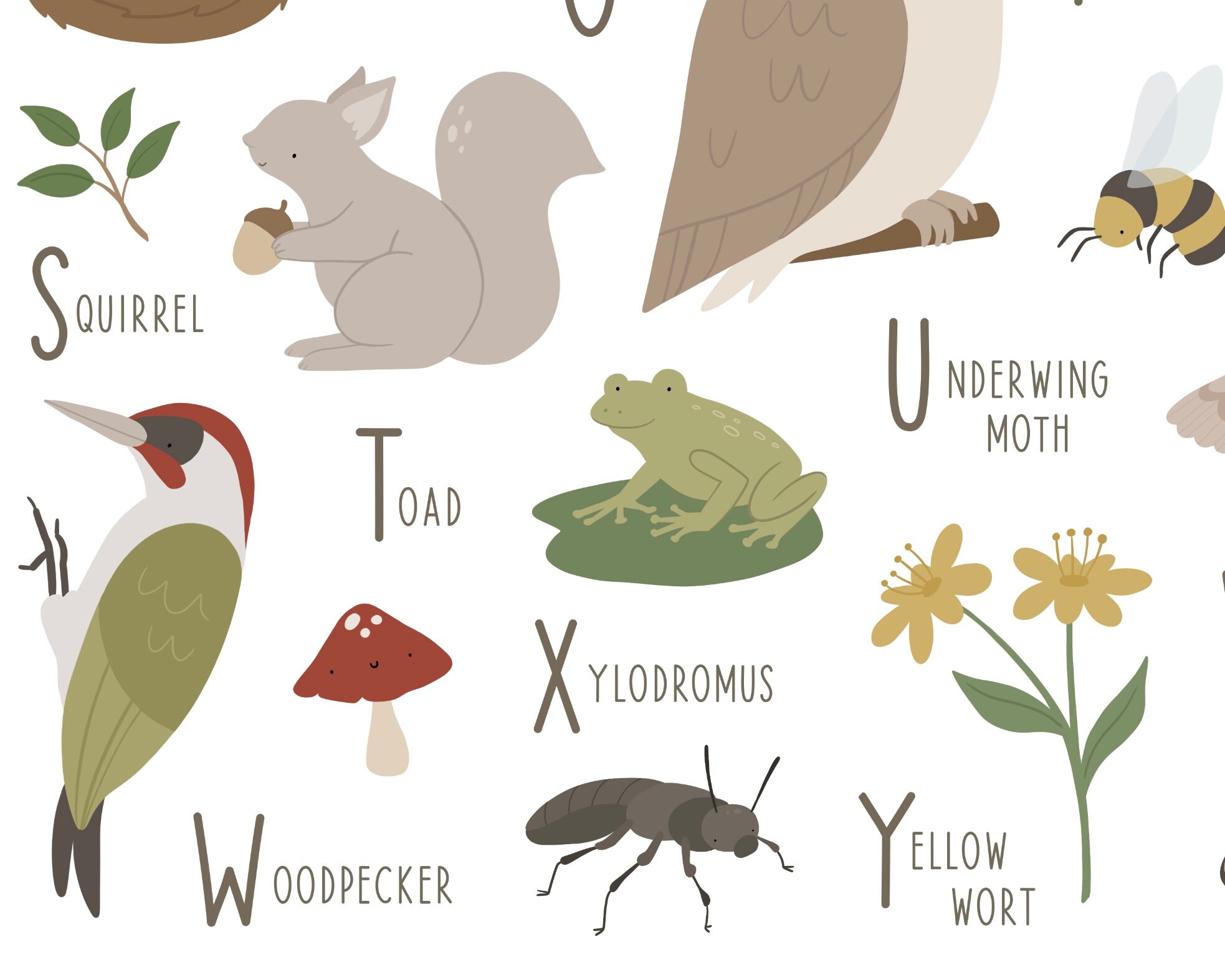 Woodland Alphabet Print - Forest Alphabet Poster - Woodland Nursery ...