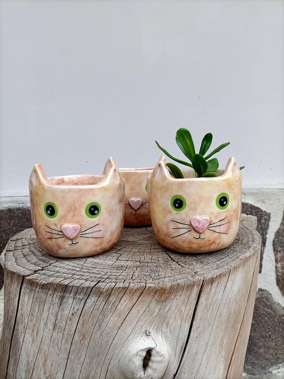 MINGZHE Vaso Gatto In Ceramica Per Piante Grasse: Il Tuo Pollice Verde Diventa Un'opera D'arte