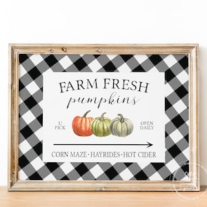 Farm Fresh Pumpkins Buffalo Check Print | Farmhouse Autumn Home Decor Print | Fall Wall Decor | Fall Pumpkins Print | Pumpkin Patch Sign