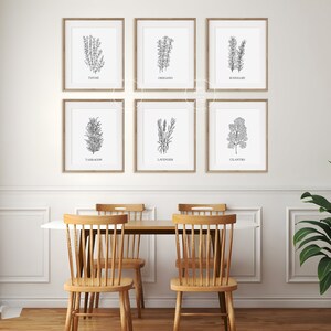May include: Six black and white framed prints of different herbs, including thyme, oregano, rosemary, tarragon, lavender, and cilantro, are displayed on a white wall above a wooden dining table with four chairs. A green plant in a black pot is on the right side of the image.