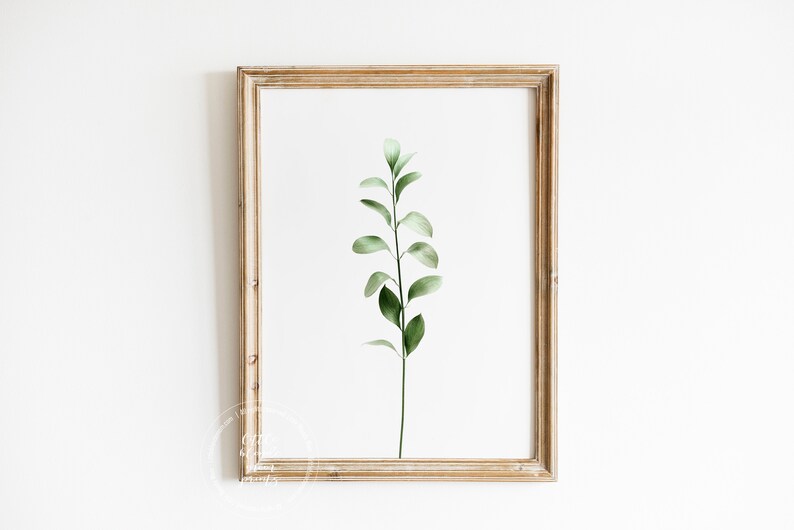 Botanical Poster Prints Set of 6 Eucalyptus Wall Art Etsy