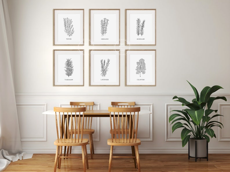 May include: Six black and white framed prints of different herbs, including thyme, oregano, rosemary, tarragon, lavender, and cilantro, are displayed on a white wall above a wooden dining table with four chairs. A green plant in a black pot is on the right side of the image.