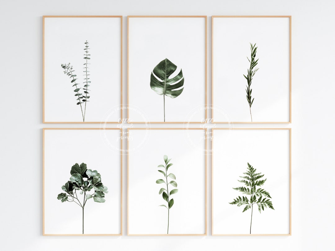 Botanical Print Set of 6 Eucalyptus Wall Art Palm Plants - Etsy