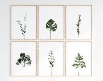 Botanical Print Set of 6 | Eucalyptus Wall Art | Palm Plants | Farmhouse Decor | Home Printable | Apartment Decor | Wall Decor | Living Room