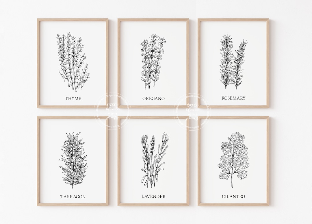 Kitchen Herbs | Set of 6 Wall Art Prints | Gallery | Botanical | Plants ...