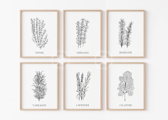 Kitchen Herbs | Set of 6 Wall Art Prints | Gallery | Botanical | Plants | Farmhouse | Home Printable | Print | Wall Decor | Neutral Decor