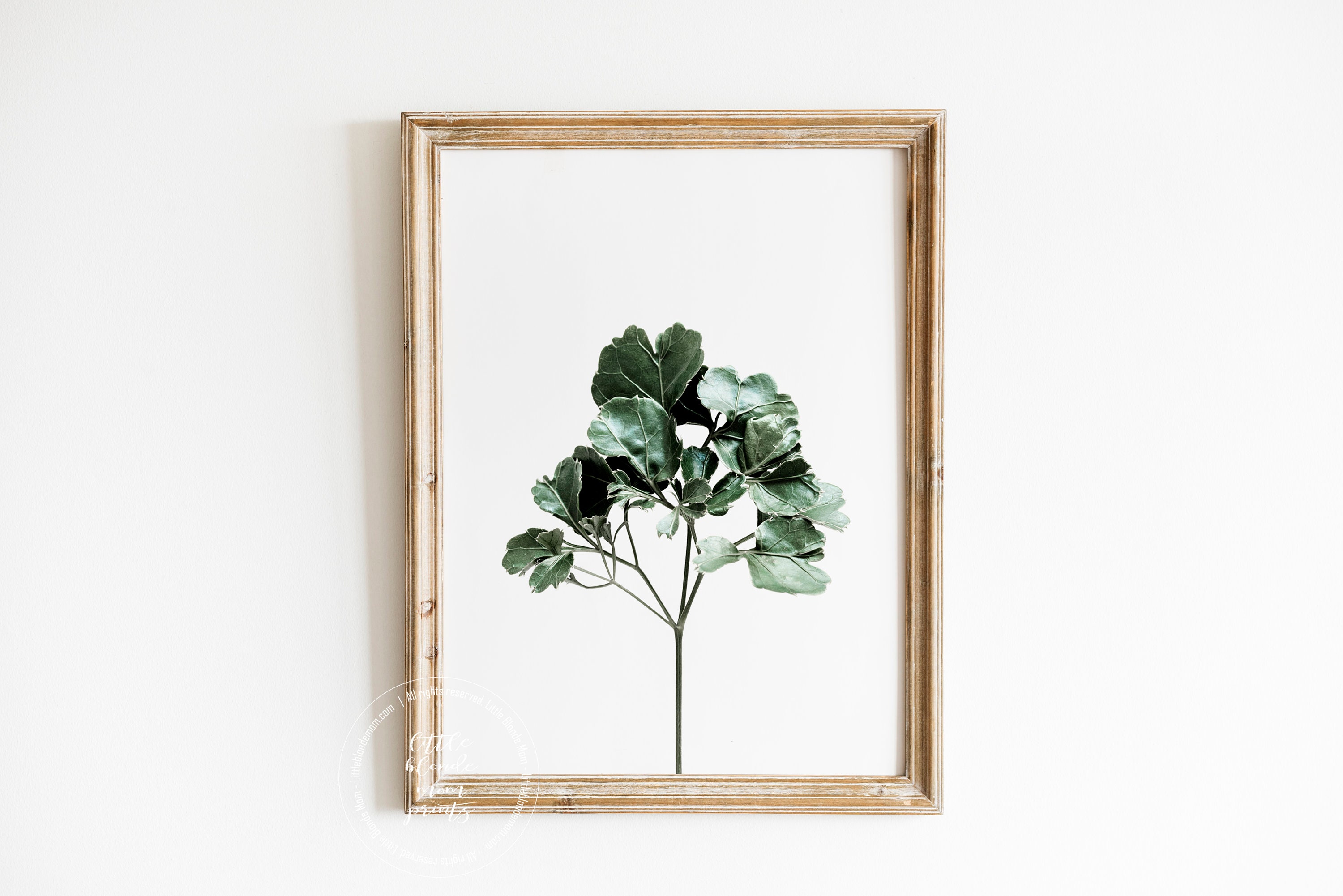 Botanical Poster Prints | Set of 6 | Eucalyptus Wall Art | Palm Plants ...
